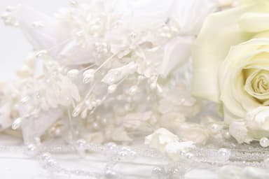Wedding Gown Fabric